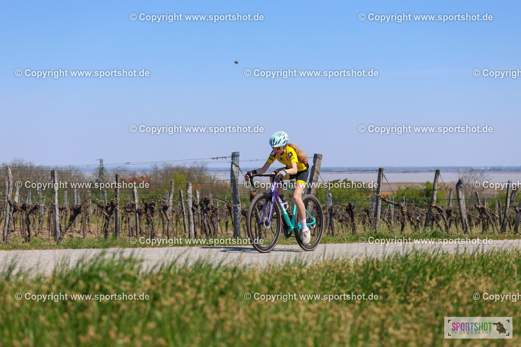 Neusiedlersee Radmarathon 2026 | @sportshot_your_pictrs #yourpictures#roadtowm2029 #nrm #neusiedlerseeradmarathon #neusiedlersee #neusiedlerseetourismus #burgenland #mörbisch #nrm26 #burgenlandtourismus #voglundco #poweredbyburgenlandtourismus #radsport #rad #marathon #ucigranfondo #visitburgenland #ucigranfondoworldseries