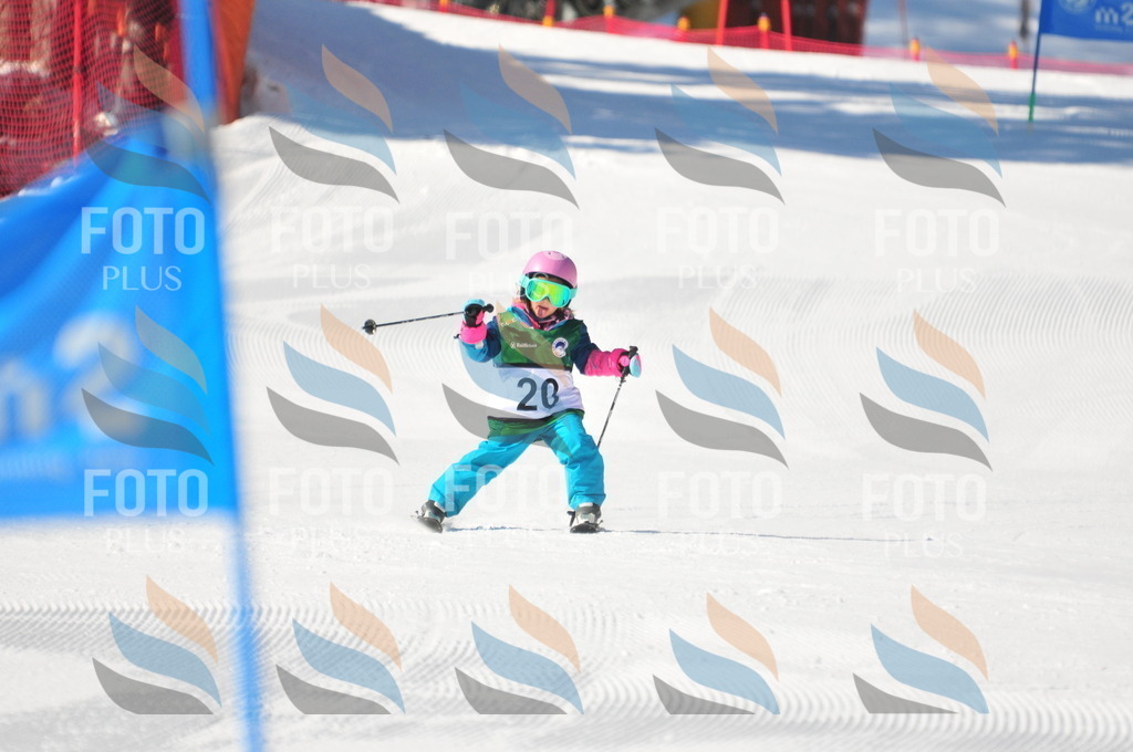 C2510 | holidayphoto