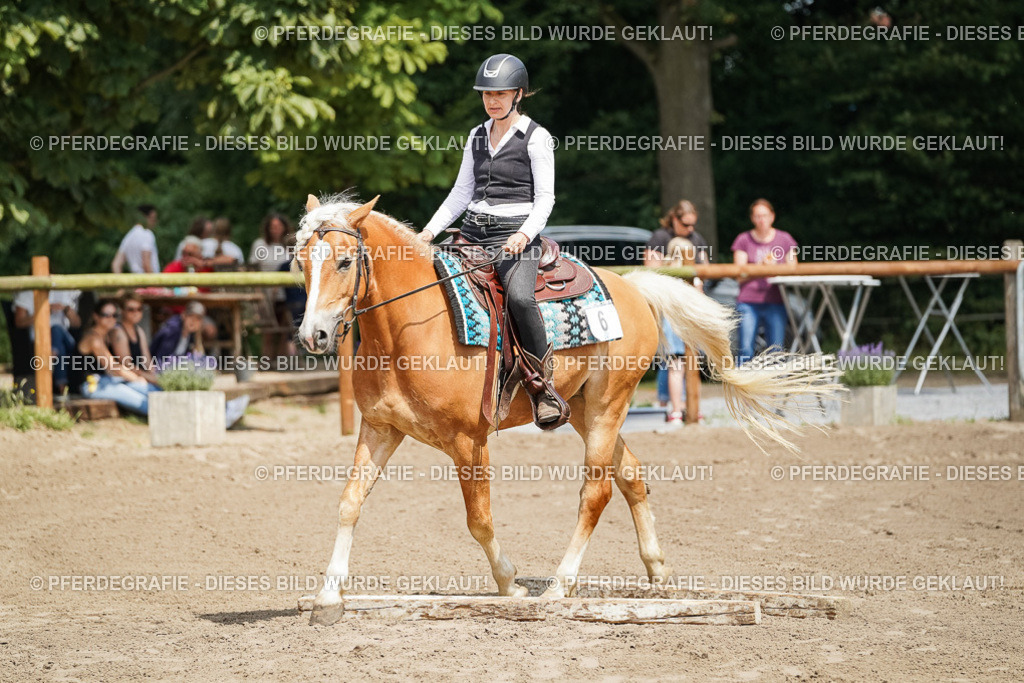 DSC07116 | Pferdegrafie