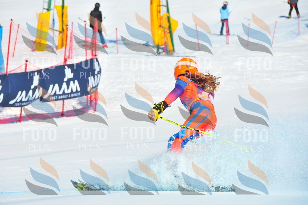 DSC_3744 | holidayphoto