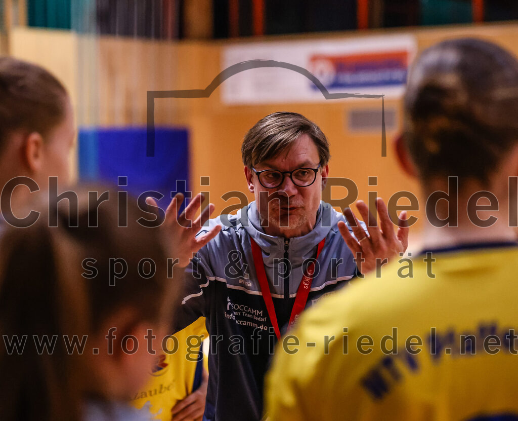 2025-02-15_120_SpVgg_Altenerding_gegen_MTV_Pfaffenhofen | Erding, Deutschland, 15.02.2025:Handball, Bezirksoberliga Frauen Altbayern 2024 / 2024, 14. Spieltag, SpVgg Altenerding gegen MTV Pfaffenhofen, Endergebnis: 27:23Mirco Hollstein (MTV Pfaffenhofen, #)Foto: Christian Riedel / fotografie-riedel.net