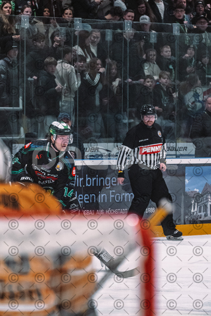 Alligators_vs_Fuessen_01_03_2026_PP-23 | Höchstadt Alligators Fotogalerie: Eishockey-Action aus Franken. Professionelle Spielfotos, Portraits & Stadionbilder zum Download. Jetzt entdecken! - Realized with Pictrs.com
