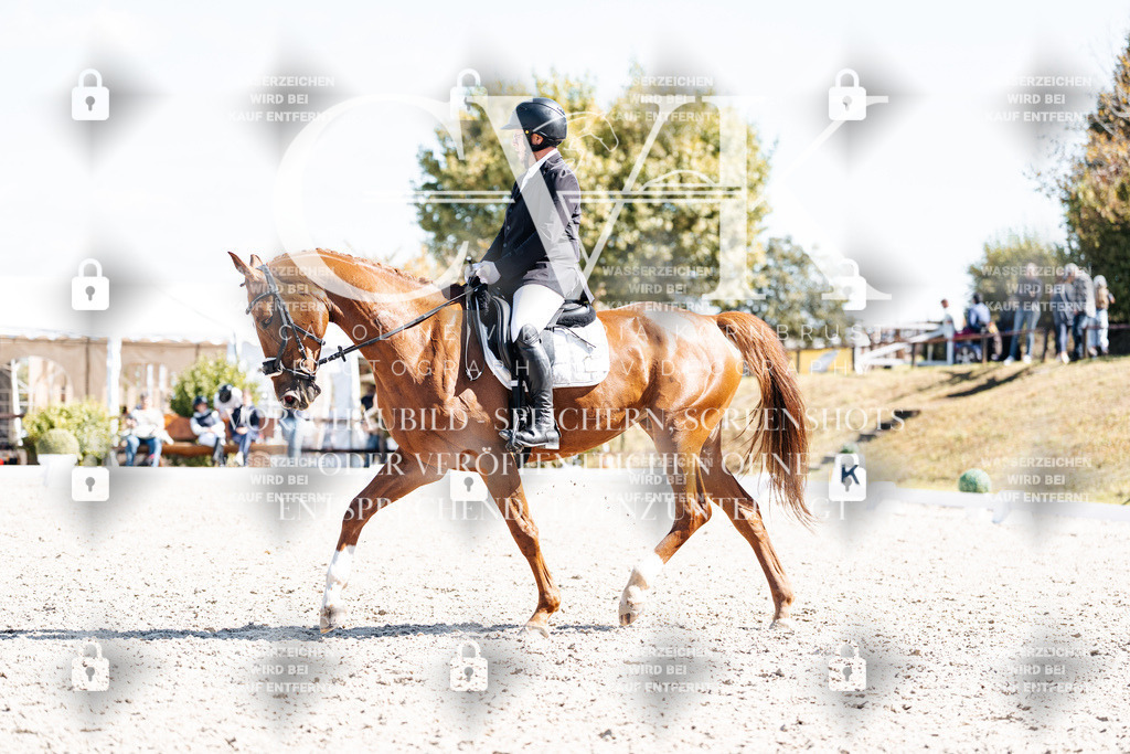 CK903355 | Turnierfotografie Pferdefotografie Trier Rheinland-Pfalz Pferdesport Reitsport Tierfotografie Sportfotografie Pferdevideo Pferdevideografie Equestrianvideography equestrianphotography  - Realisiert mit Pictrs.com