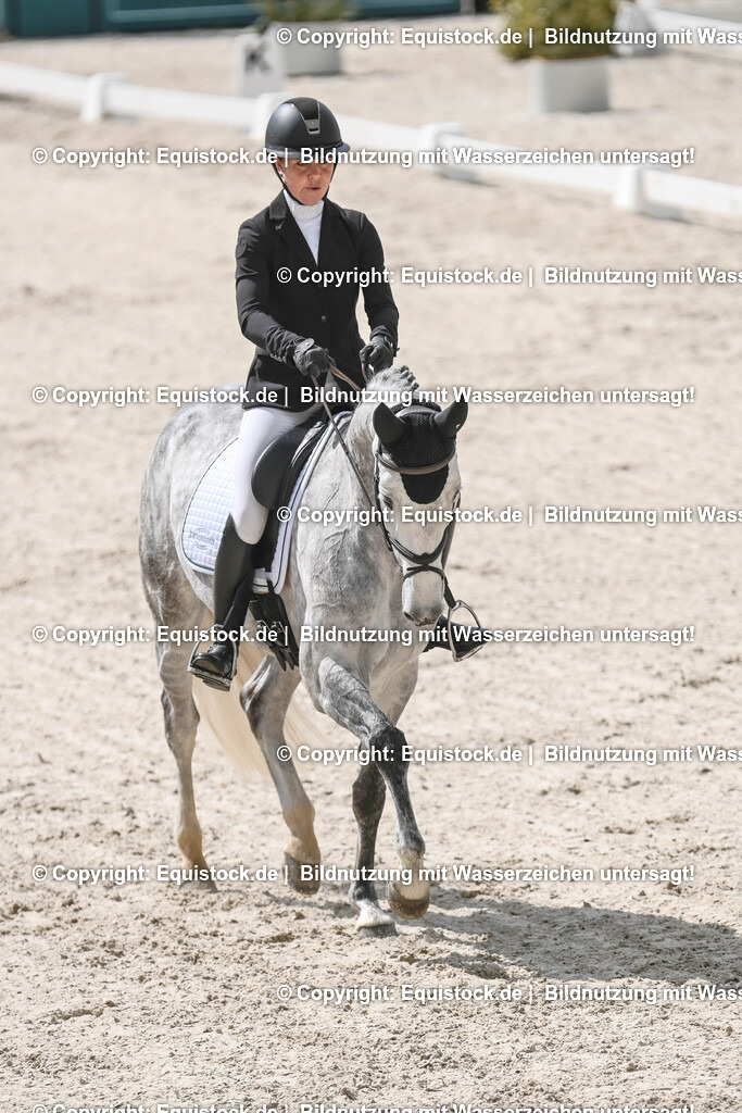 20250516_CCI2_Dressur_0500 | Foto: Thomas Hartig