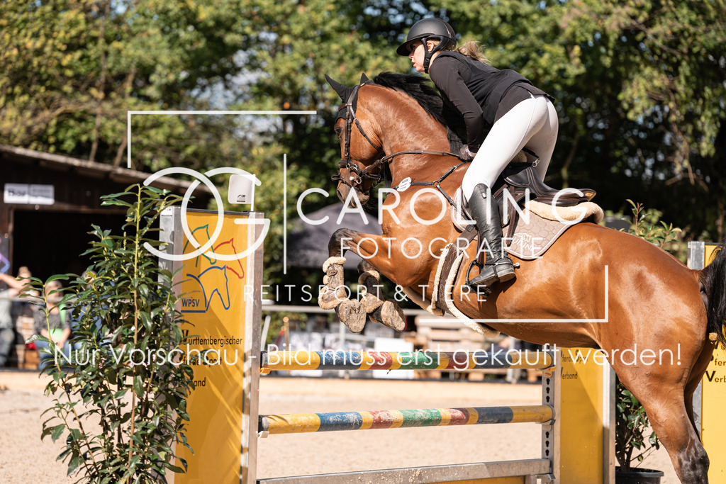 DSC03641 | Carolin Gieschke