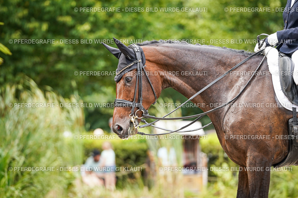 DSC05650 | Pferdegrafie