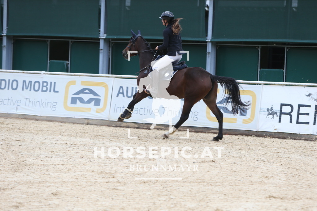 DL2Q0602 | Willkommen bei Brunnmayr - Design & Fotografie – Ihrem Spezialisten für Reitturniere und Pferdeveranstaltungen in Oberösterreich, Salzburg und Bayern! Seit über 17 Jahren sind wir leidenschaftlich dabei.