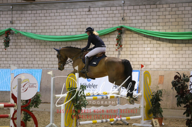 IMG_0882 | Deine Turnierfotos vom Reitturnier online kaufen: Dressur, Springen & Siegerehrung. Professionelle Pferdefotografie aus dem Rheinland – als Download & Print.Alternative: Turnierfotograf für den Pferdesport: Finde deine Fotos von Dressur- und Springturnier