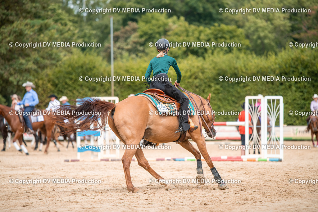 ZS2_8501 | dv-media-shop - Realisiert mit Pictrs.com