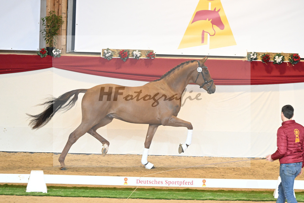 Kat-Nr. 78 Viva Gold_Casper u Eulich_1230485 | hf-fotografie - Realisiert mit Pictrs.com