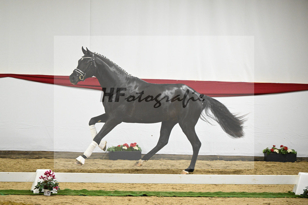 Kat-Nr. 65 v. Ferrantino_Greim_63221660 | hf-fotografie - Realizzato con Pictrs.com