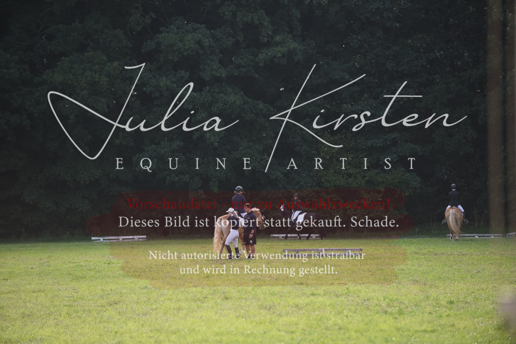 DSC_8527 | Pferde- und Turnierfotografie in Westsachsen. Pferdeportraits, Auftragszeichnungen und intuitive Kunst.