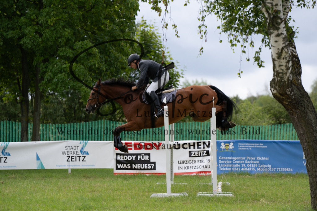 A7V03996 | Pferdefotograf