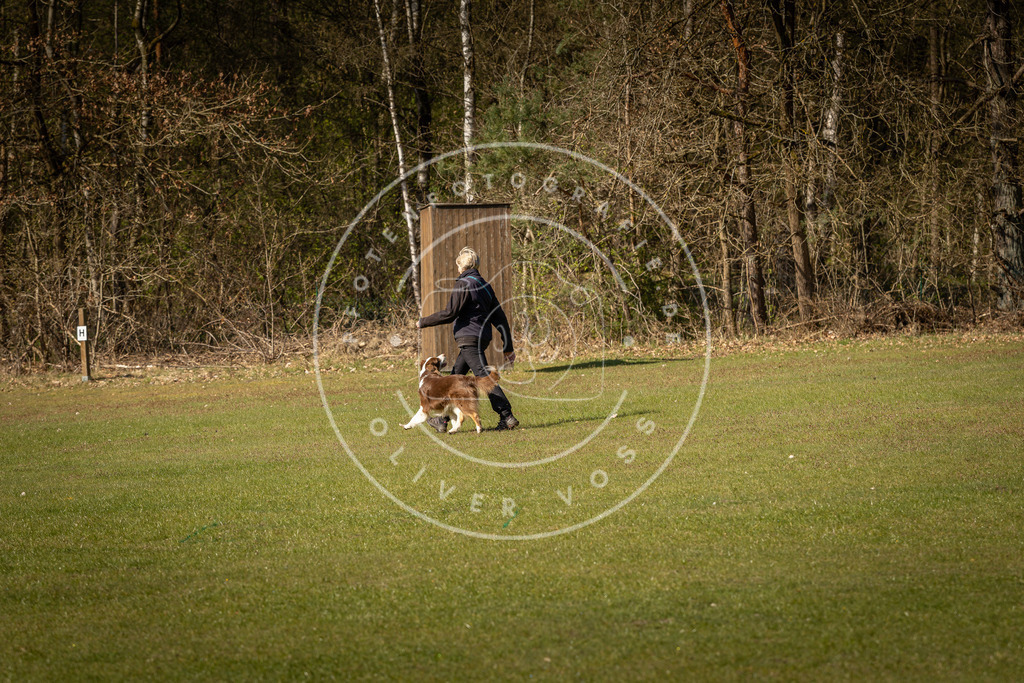 Pfotenfotografie_DV3A0409 | Hundefotografie, Tierfotograf, Pfotenfotografie, Fotoshooting Hund, Hunde Portrait, Hundesport, Hundeportraits, Heideshooting, Hunde, Sportfotograf, Hundefotograf, Turnierhundsport, THS,  - Realisiert mit Pictrs.com