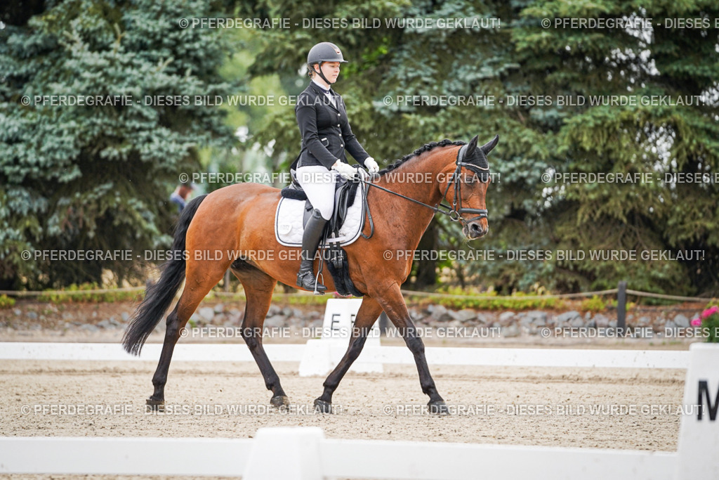 DSC01078 | Pferdegrafie