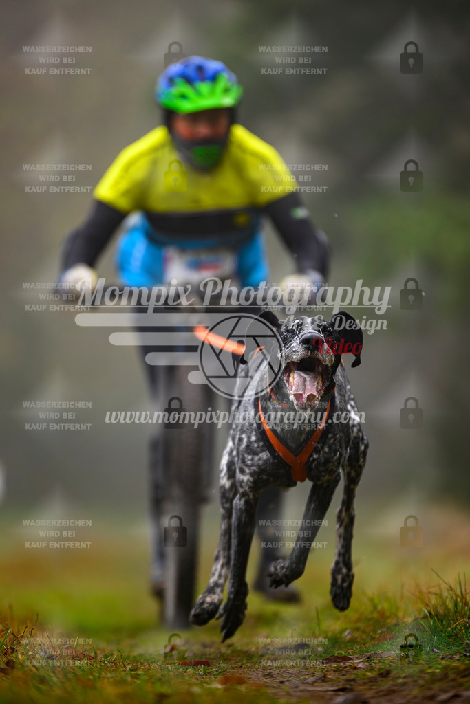 MompixPhotography_Bischwiller2025_Scooter-52 | mompixphotography