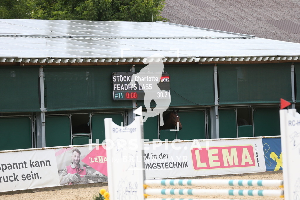 DL2Q4525 | Willkommen bei Brunnmayr - Design & Fotografie – Ihrem Spezialisten für Reitturniere und Pferdeveranstaltungen in Oberösterreich, Salzburg und Bayern! Seit über 17 Jahren sind wir leidenschaftlich dabei.