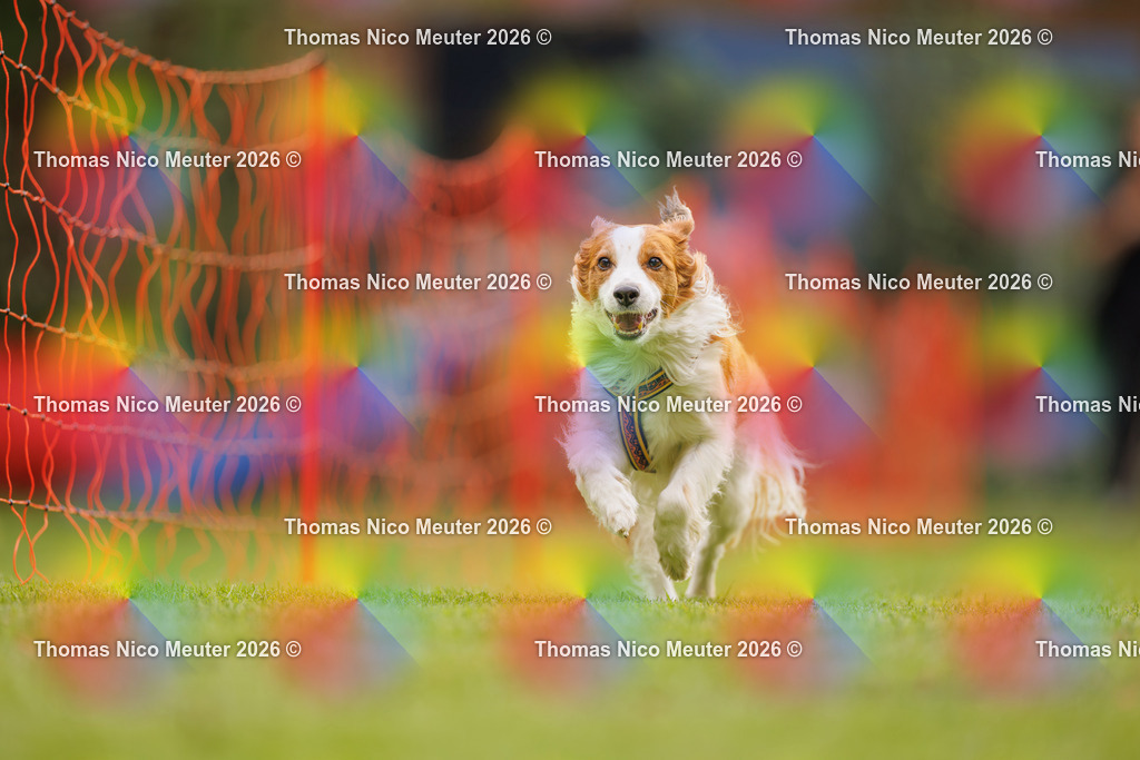 Thomas_Nico_Meuter(C)_26. September 2026_223A0183 | Bild von Thomas Nico Meuter - Realisiert mit Pictrs.com
