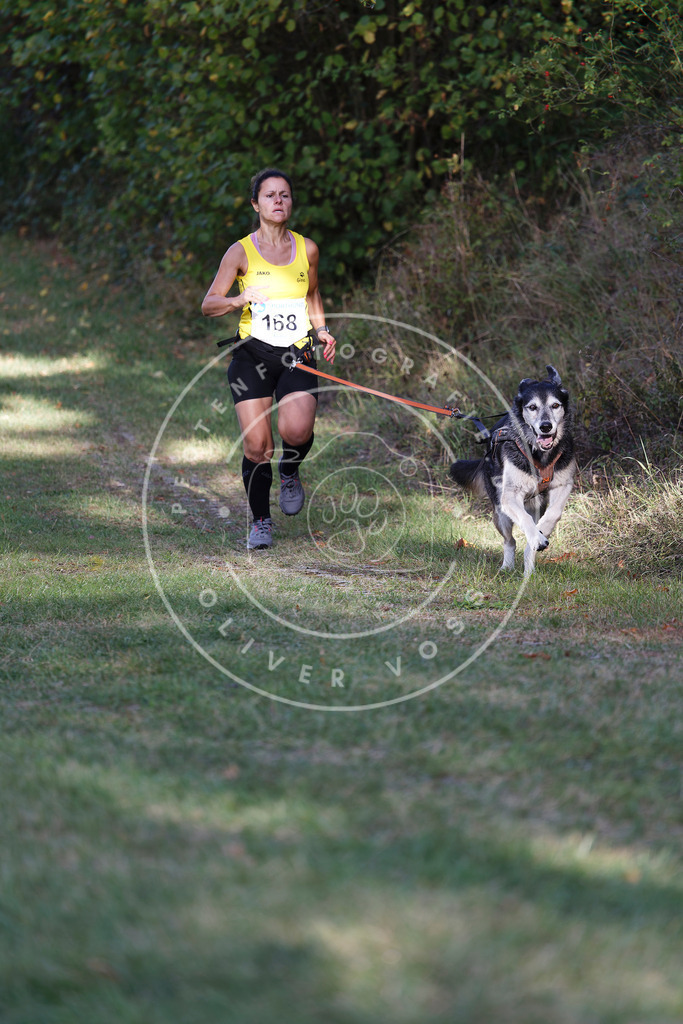0L8A5306 | Hundefotografie, Tierfotograf, Pfotenfotografie, Fotoshooting Hund, Hunde Portrait, Hundesport, Hundeportraits, Heideshooting, Hunde, Sportfotograf, Hundefotograf, Turnierhundsport, THS,  - Realisiert mit Pictrs.com