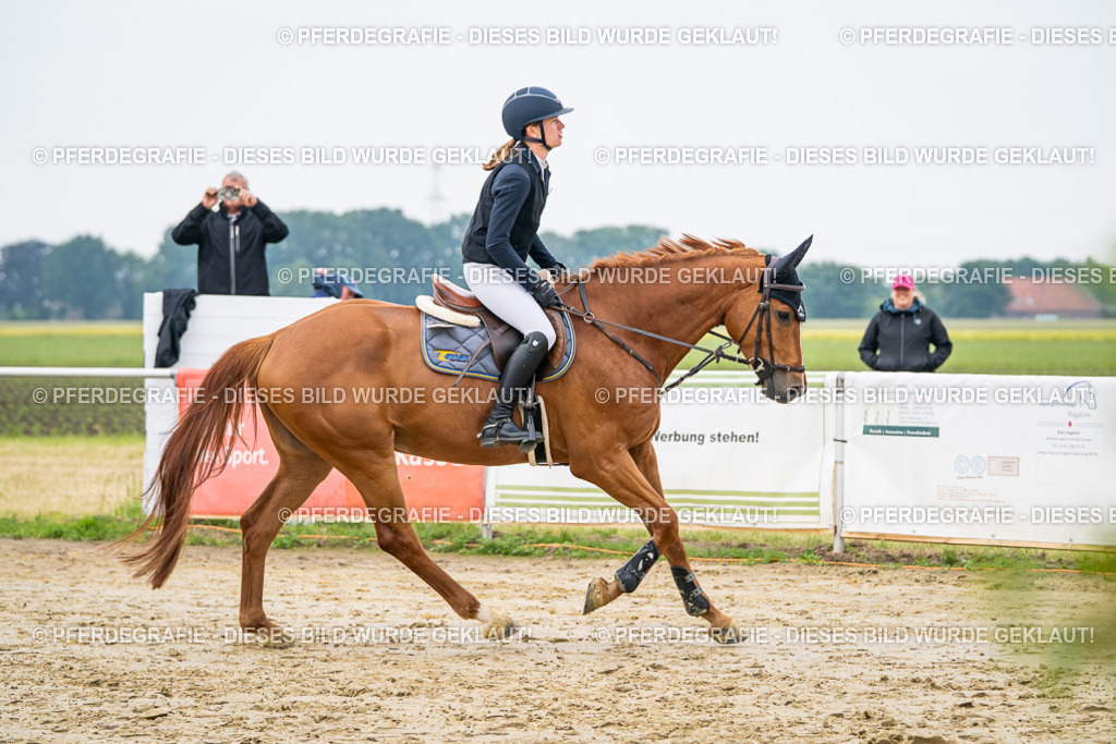 DSC09509 | Pferdegrafie