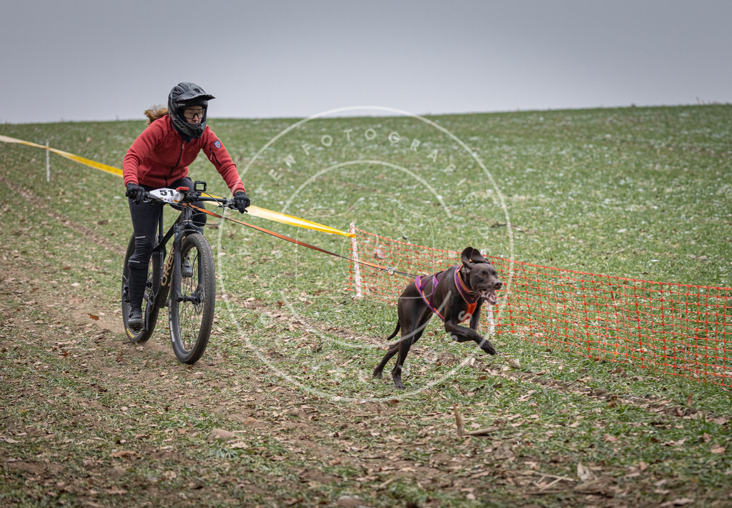 Pfotenfotografie_DV3A1095 | Hundefotografie, Tierfotograf, Pfotenfotografie, Fotoshooting Hund, Hunde Portrait, Hundesport, Hundeportraits, Heideshooting, Hunde, Sportfotograf, Hundefotograf, Turnierhundsport, THS,  - Realisiert mit Pictrs.com