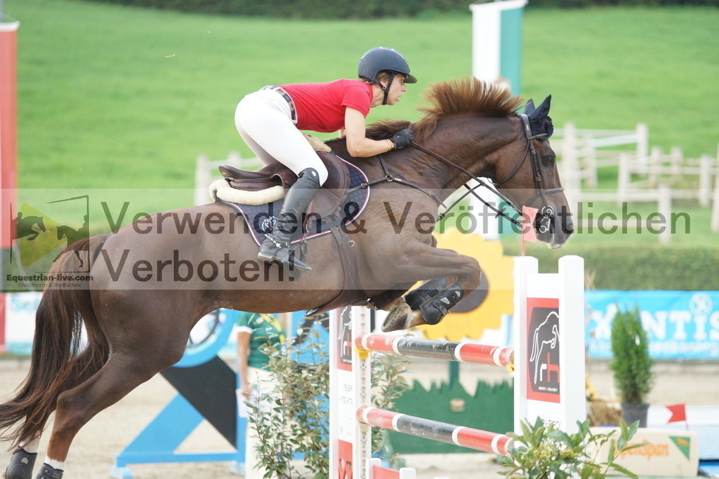 DSC09486 | equestrian-live-com