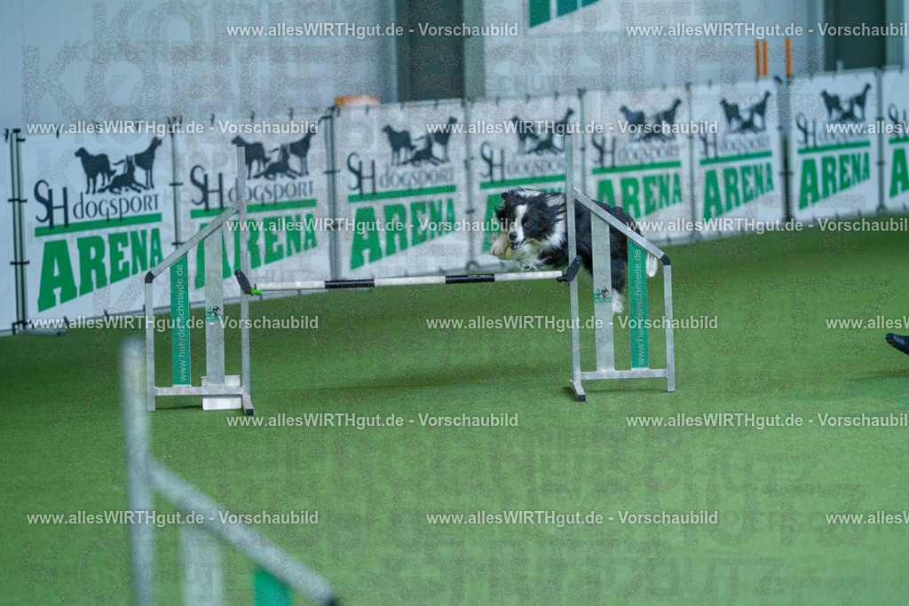 @allesWIRTHgut_Tierfotografie - www.allesWIRTHgut.de - 2604261347-7R502679 | Professionelle Tierfotografie in Mönchengladbach von Daniel Wirth (allesWIRTHgut). Liebevolle & natürliche Bilder von Hunden & Katzen für unvergessliche Erinnerungen.