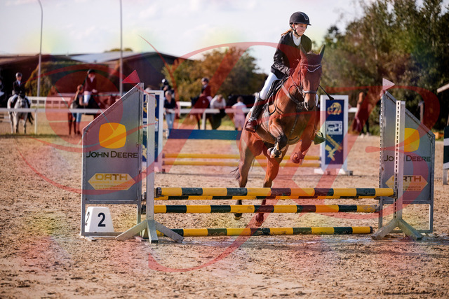 2026_10_03_Siefer-Hof_161021_Z81_89763042 | Professionelle Reitsport-, Turnier- und Eventfotografie von Robert Broda. Galerien mit ausgewählten und bearbeiteten Bildern direkt online ansehen und bestellen.