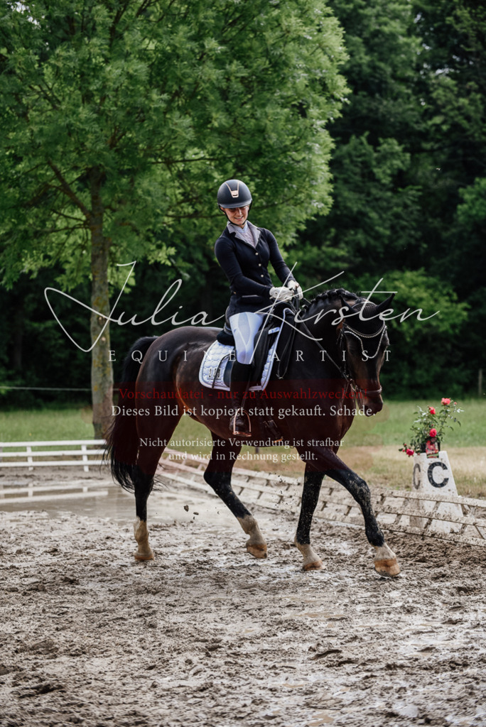 DSC_0584 | Pferde- und Turnierfotografie in Westsachsen. Pferdeportraits, Auftragszeichnungen und intuitive Kunst.
