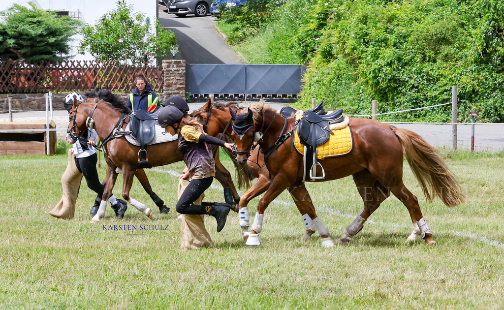 1B3A1687 | Reitsport Reiten