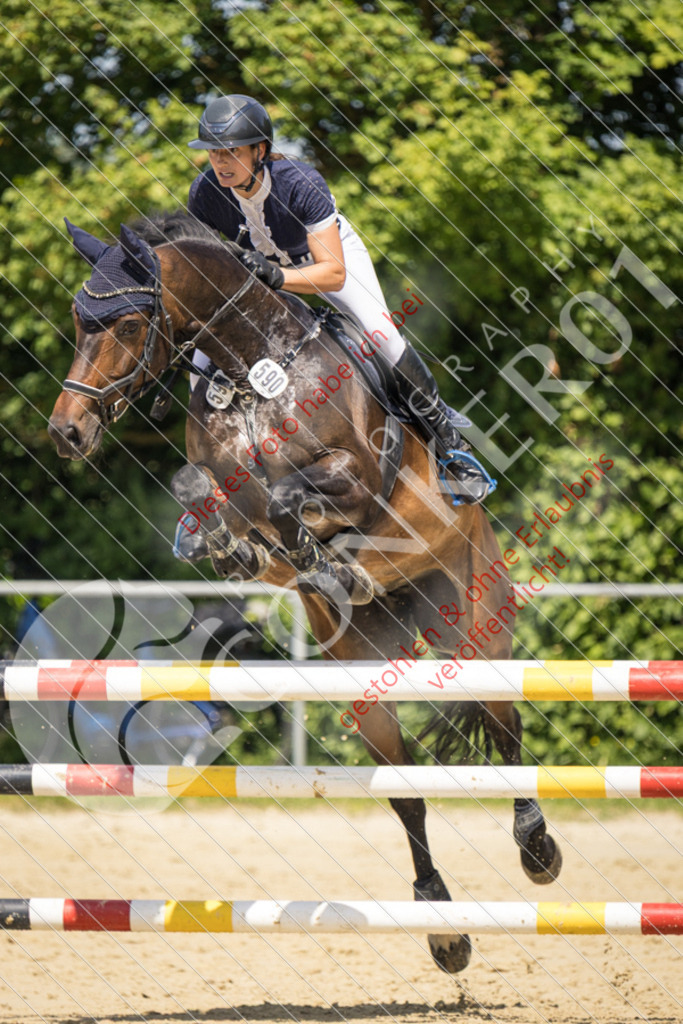 IMG_9460 | Sport-, Event- und Tierfotos in Profiqualität. Einfach auswählen, bestellen und herunterladen. Dein Moment – perfekt festgehalten.