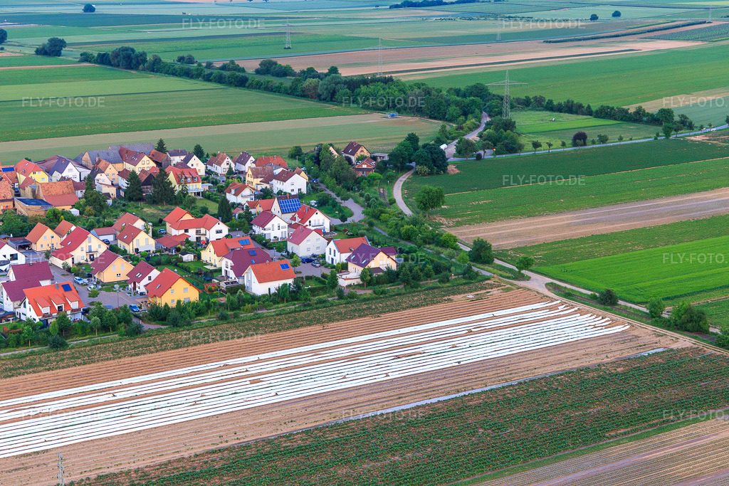 Luftbild: Unteres Rappenfeld im Ortsteil Mörlheim in Landau im Bundesland Rheinland-Pfalz in Deutschland. Foto: IMG_100610.jpg vom 01.06.2017 durch Werner Riehm/FLY-FOTO.de