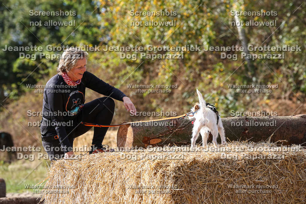 Dog Paparazzi - Strongdog 10-25-5294 | Dog Paparazzi Jeanette Grottendiek Fotografie & Videografie - Realisiert mit Pictrs.com