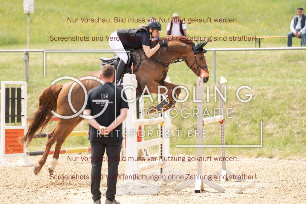 DSC06650 | Springturnier_Ehingen_Mai_2026, Stefanie_Niedermaier, Karzalis