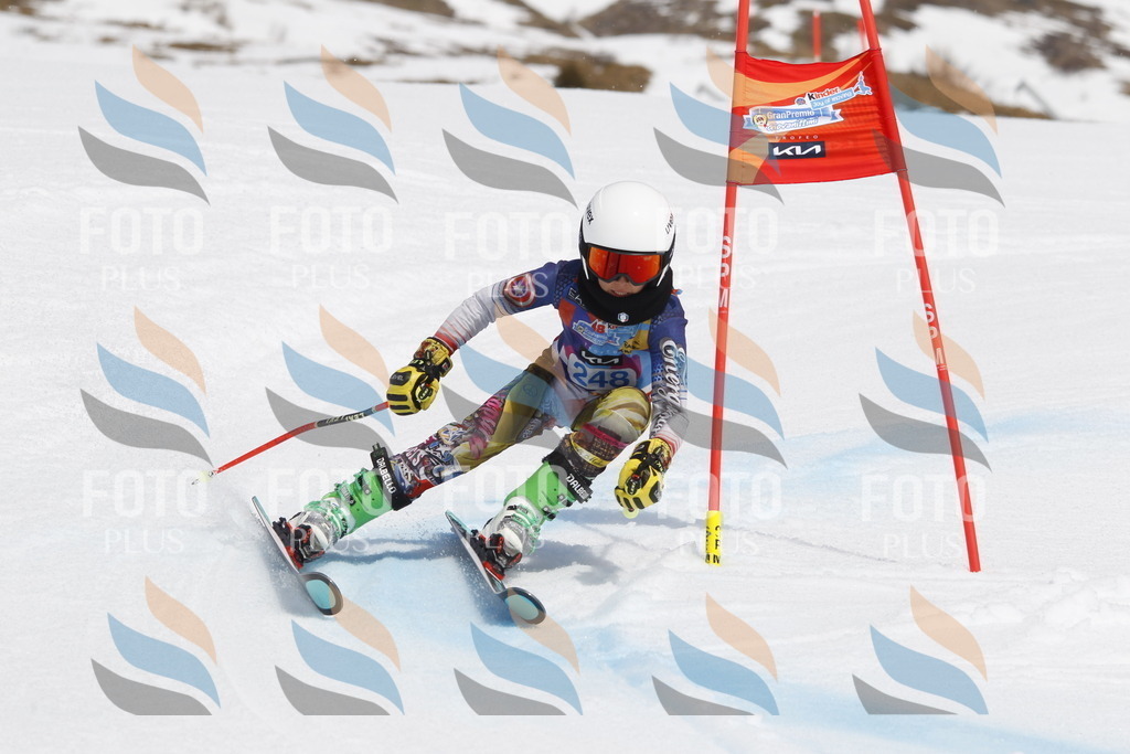 _U3G2857 | holidayphoto