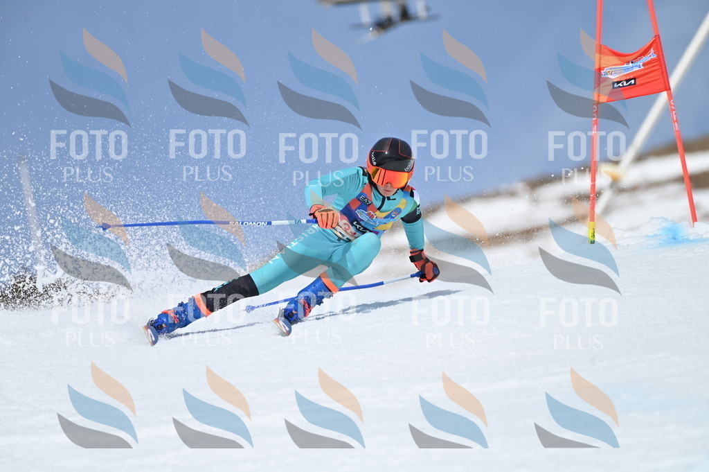 BGV_3035 | holidayphoto