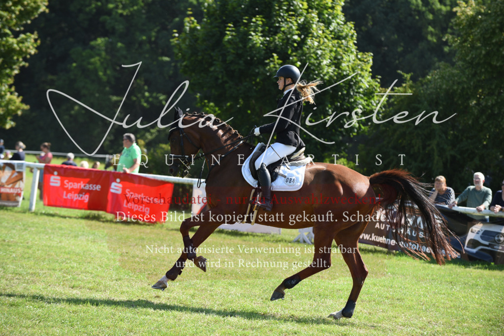 DSC_9180 | Pferde- und Turnierfotografie in Westsachsen. Pferdeportraits, Auftragszeichnungen und intuitive Kunst.