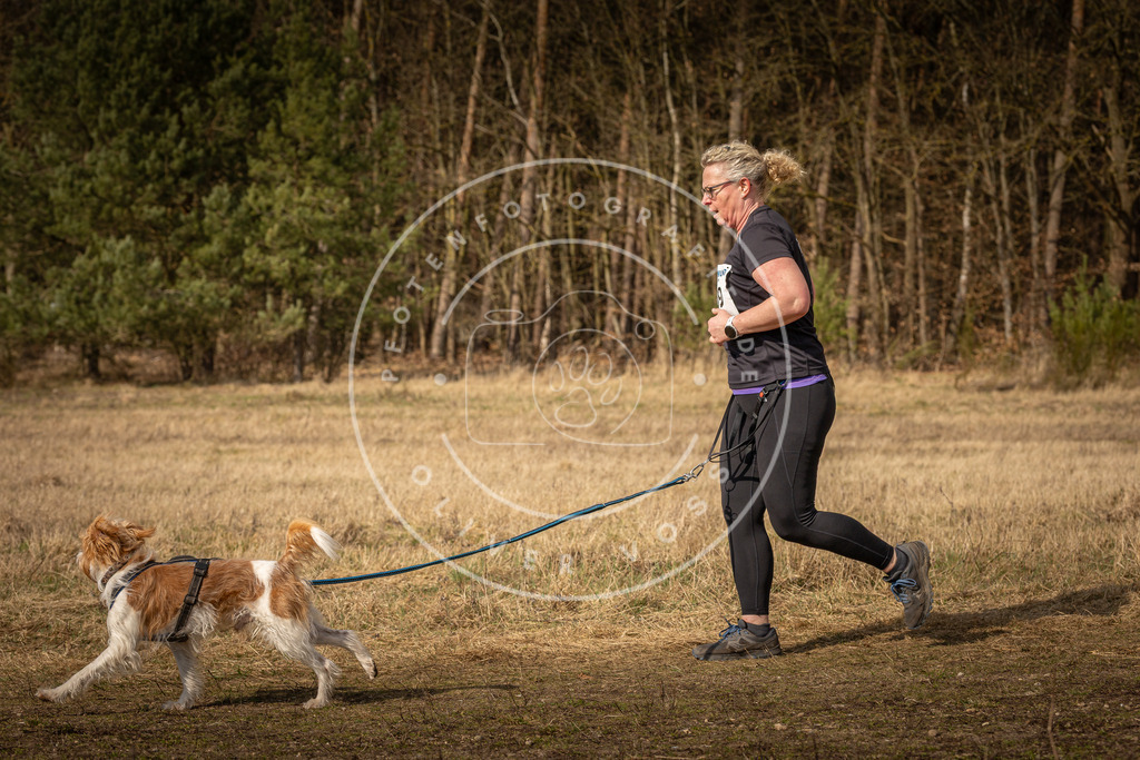 DV3A5569 | Hundefotografie, Tierfotograf, Pfotenfotografie, Fotoshooting Hund, Hunde Portrait, Hundesport, Hundeportraits, Heideshooting, Hunde, Sportfotograf, Hundefotograf, Turnierhundsport, THS,  - Realisiert mit Pictrs.com