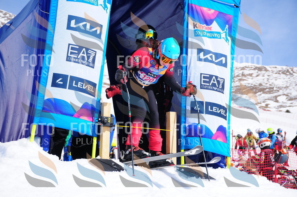 DSC_4963 | holidayphoto