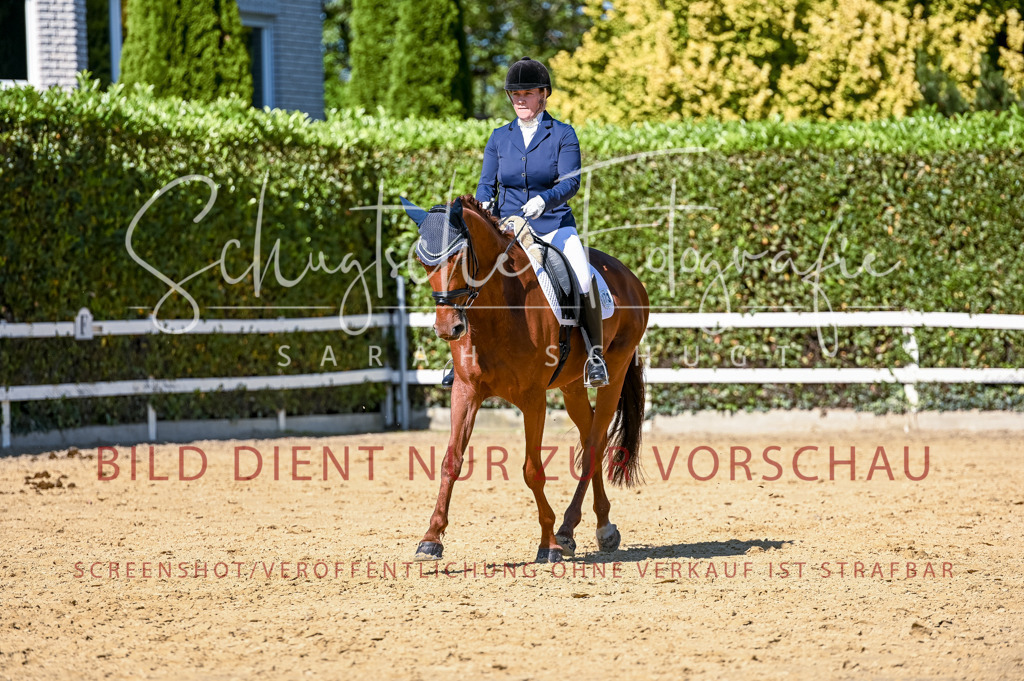 Schugtsche-Aluta25-50.Dressurpferdeprf.L-127 | Schugtsche Fotografie - Realisiert mit Pictrs.com