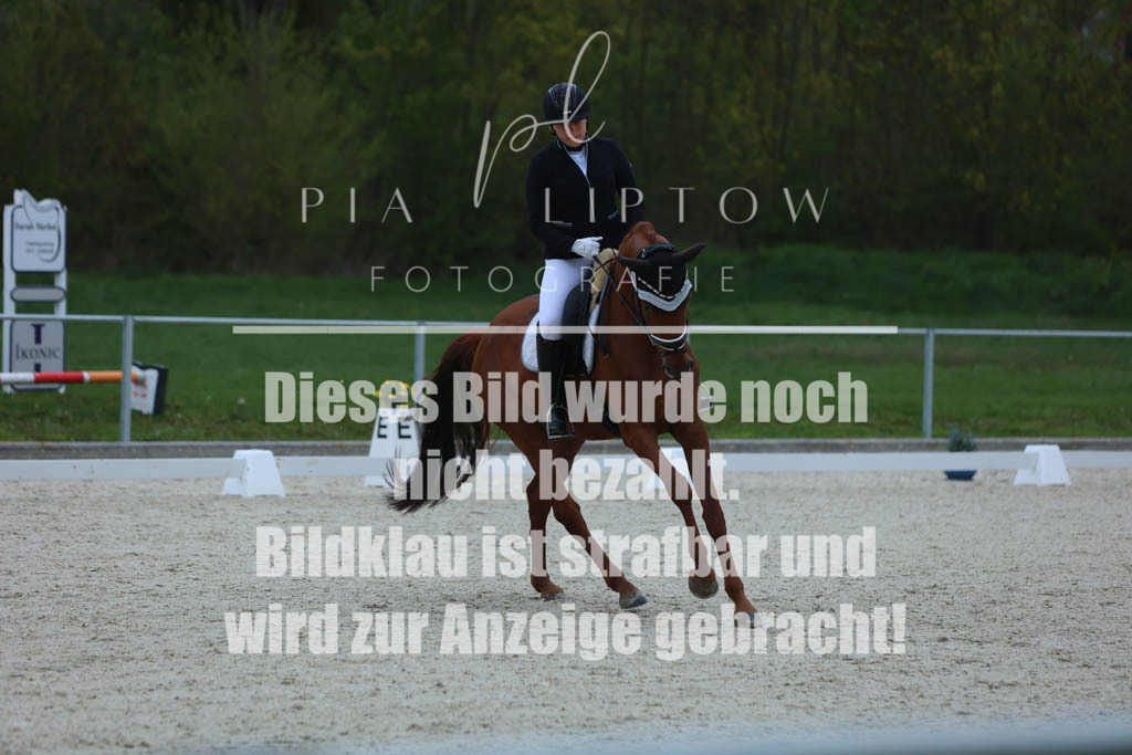 IMGM5966 | pl-fotografie