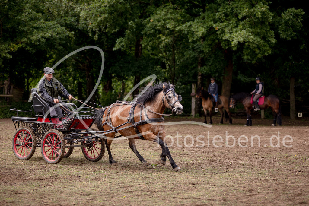 846A0819 | fotosleben - Realisiert mit Pictrs.com