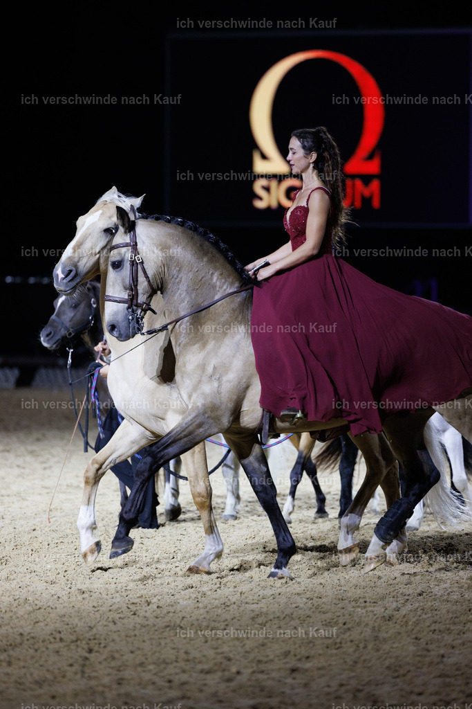 FHClassics-403 | working equitationturnier fotograf videograf stoibphotography marixx film working equitation deutschland reitsport turnierfotografie eventfotografie equestrian events