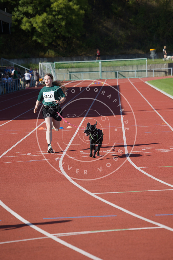 0L8A8887 | Hundefotografie, Tierfotograf, Pfotenfotografie, Fotoshooting Hund, Hunde Portrait, Hundesport, Hundeportraits, Heideshooting, Hunde, Sportfotograf, Hundefotograf, Turnierhundsport, THS,  - Realisiert mit Pictrs.com