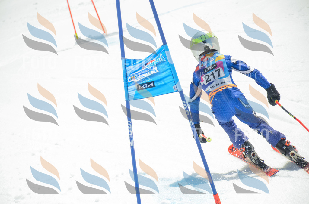 _ELE7140 | holidayphoto