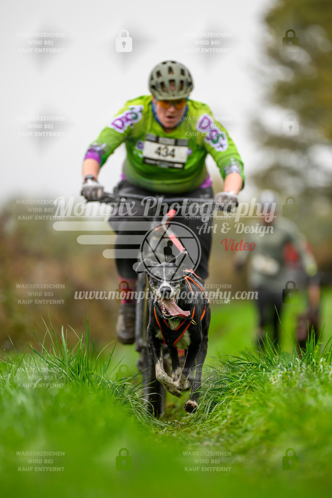 MompixPhotography_20TSB_E8_Bike-140 | PayLife