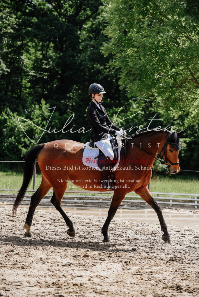 DSC_0968 | Pferde- und Turnierfotografie in Westsachsen. Pferdeportraits, Auftragszeichnungen und intuitive Kunst.
