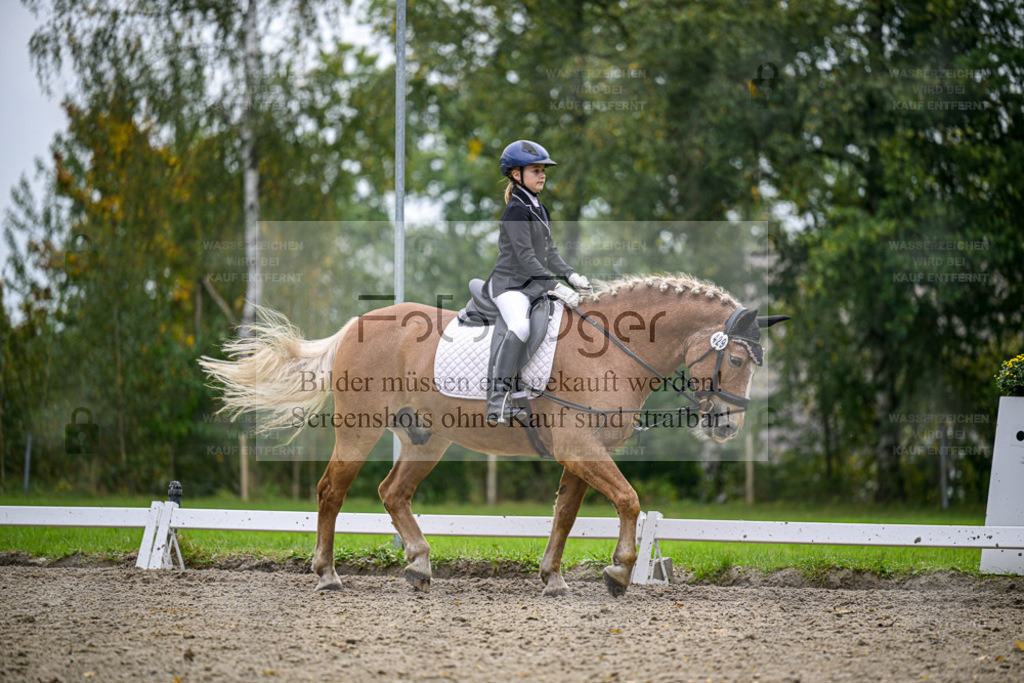 FOTO OGER | Entdecke hochwertige Reitturnierfotos von Foto Oger. Professionell, emotional und authentisch – jetzt Lieblingsmomente im Shop bestellen. - Realisiert mit Pictrs.com