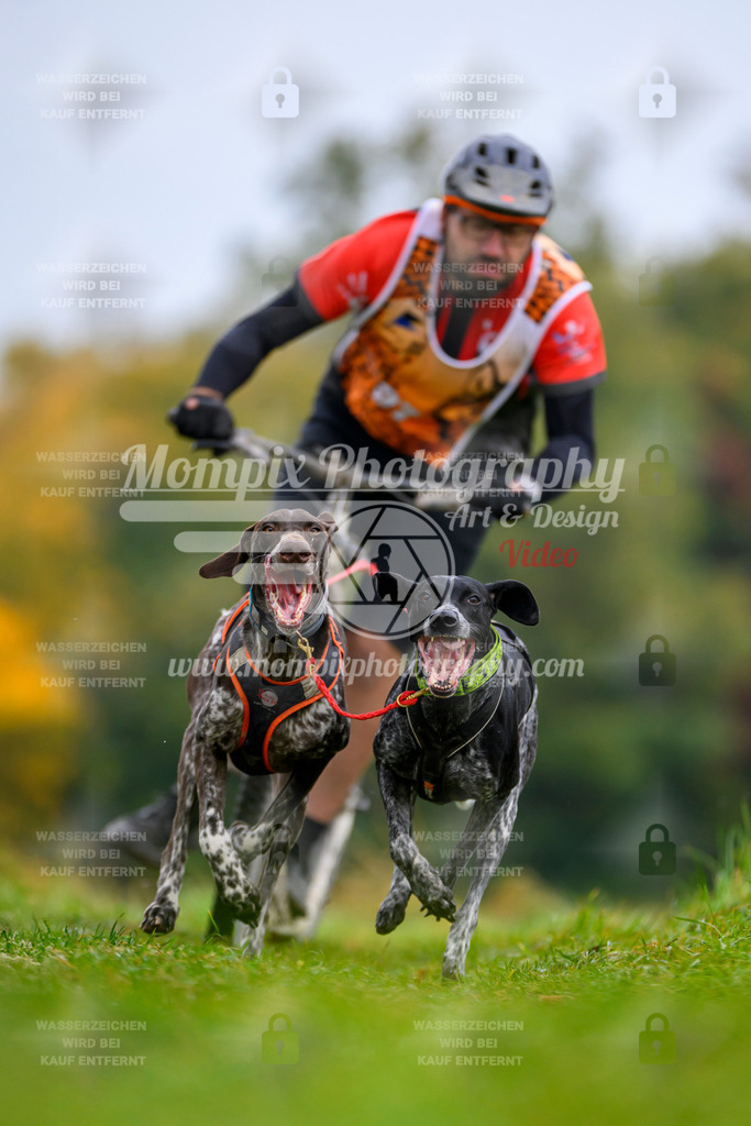 MompixPhotography_CDLBDB2025_DI_DS-8 | PayLife