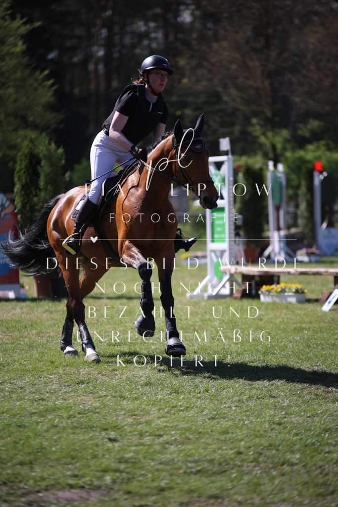 IMGT8861 | pl-fotografie